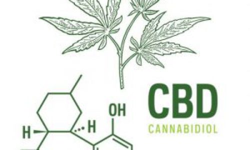 CBD Products