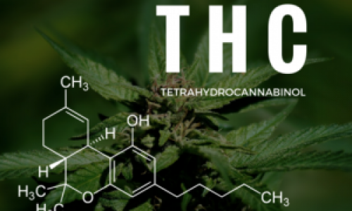 THC Products