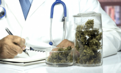 Marijuana Doctors