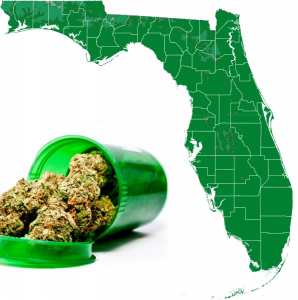 Florida Smokeable Flower Cannabis Medical Marijuana